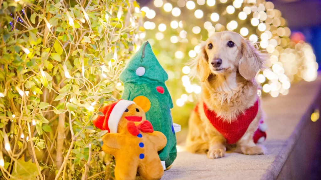 Christmas Tree Gingerbread Man Dog Lights Decoration
