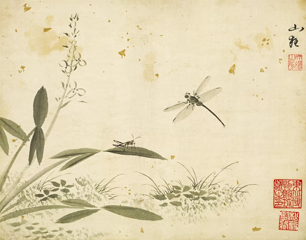 Chrysanthemum Cricket Du Dacheng