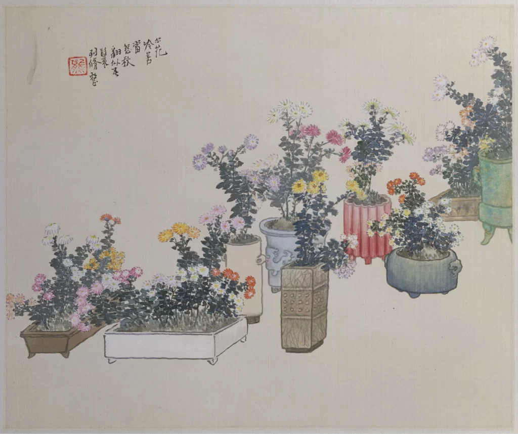 Chrysanthemum Potted Flowers Autumn Ren Xiong