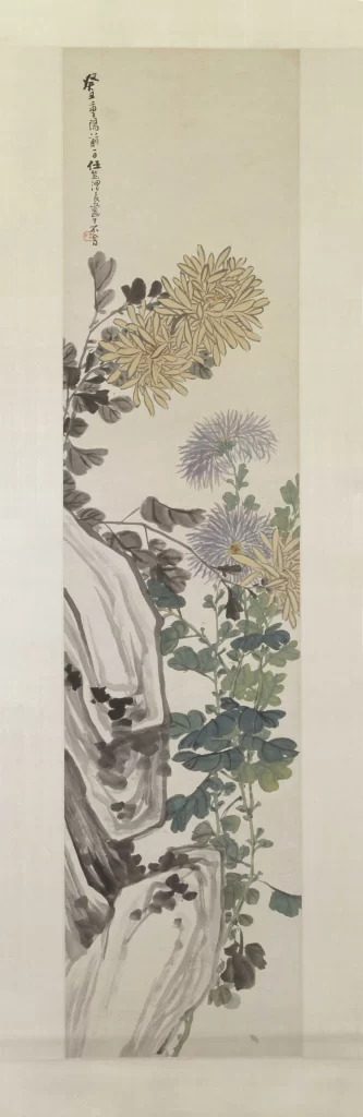 Chrysanthemum Rock Ren Xiong