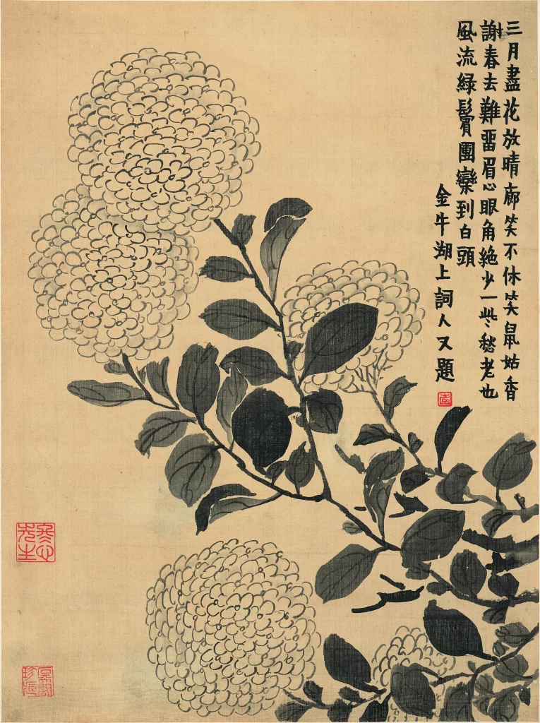 Chrysanthemum traditional ink brushwork simplicity Jin Nong