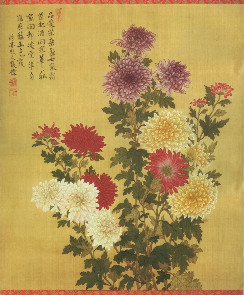 Chrysanthemums Traditional Chinese Art Nature Zhang Wei