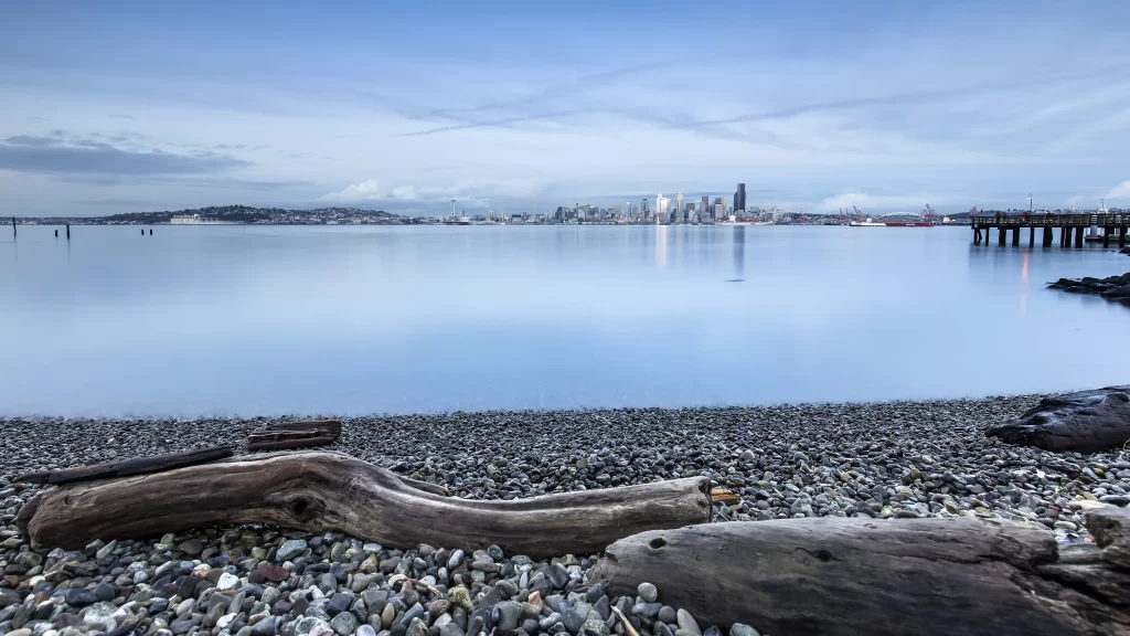 cityscape waterfront calm nature urban skyline