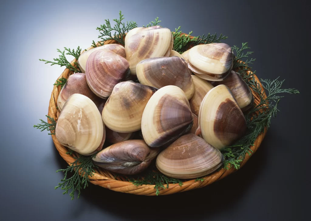 Clams Basket Brown Green