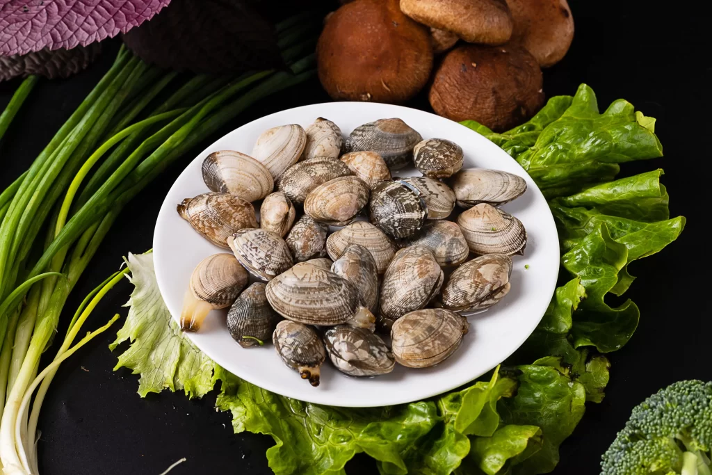 Clams Fresh Green Lettuce Brown Mushrooms