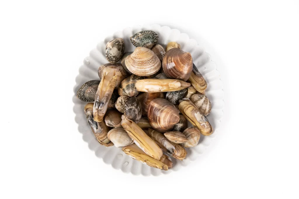 Clams Mussles Brown Shell White Plate
