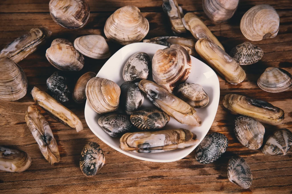 Clams Natural Brown Wooden Surface
