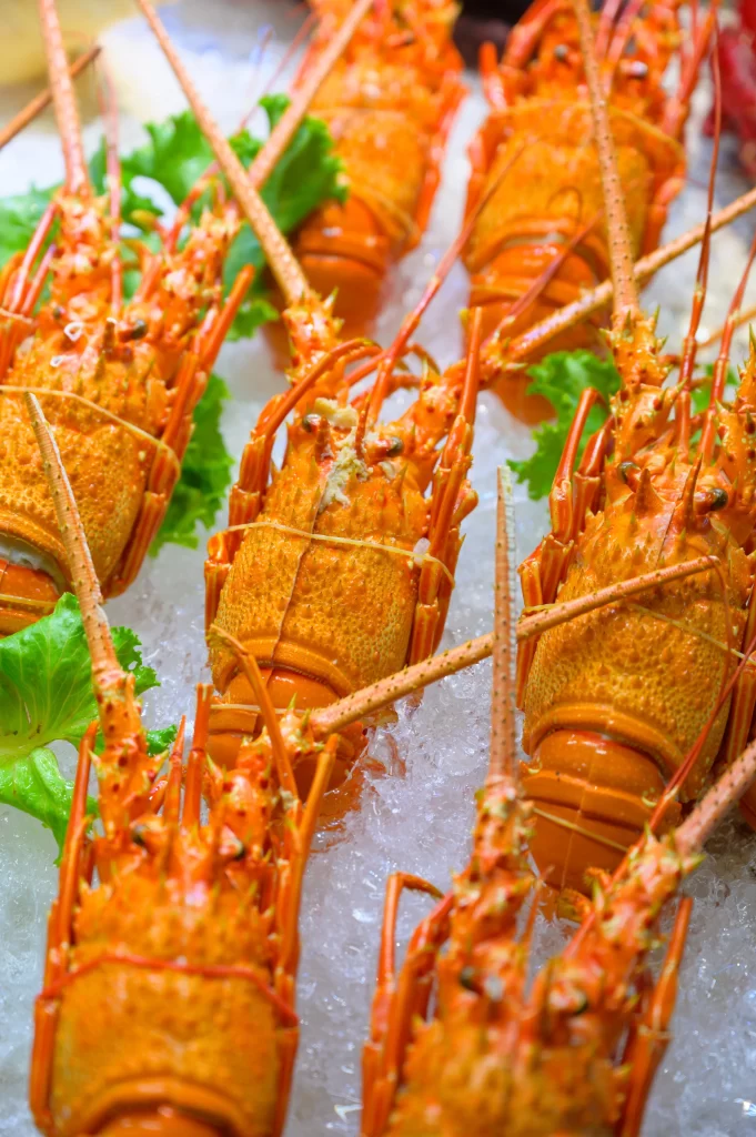 Cooked Lobster Orange Shell Ice Bed