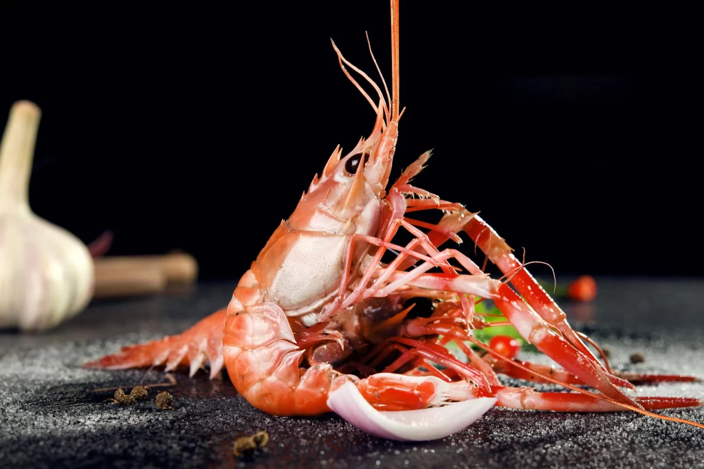 Cooked Shrimp Reddish-orange Spices