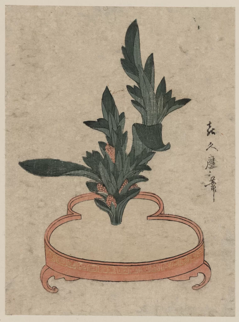 Corn Green Leaves Red Base Decorative Patterns Japanese Script Ukiyo-e