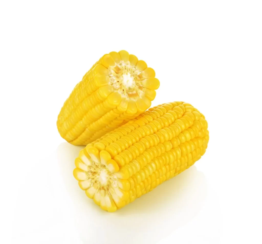 Corn Yellow Kernel Fresh