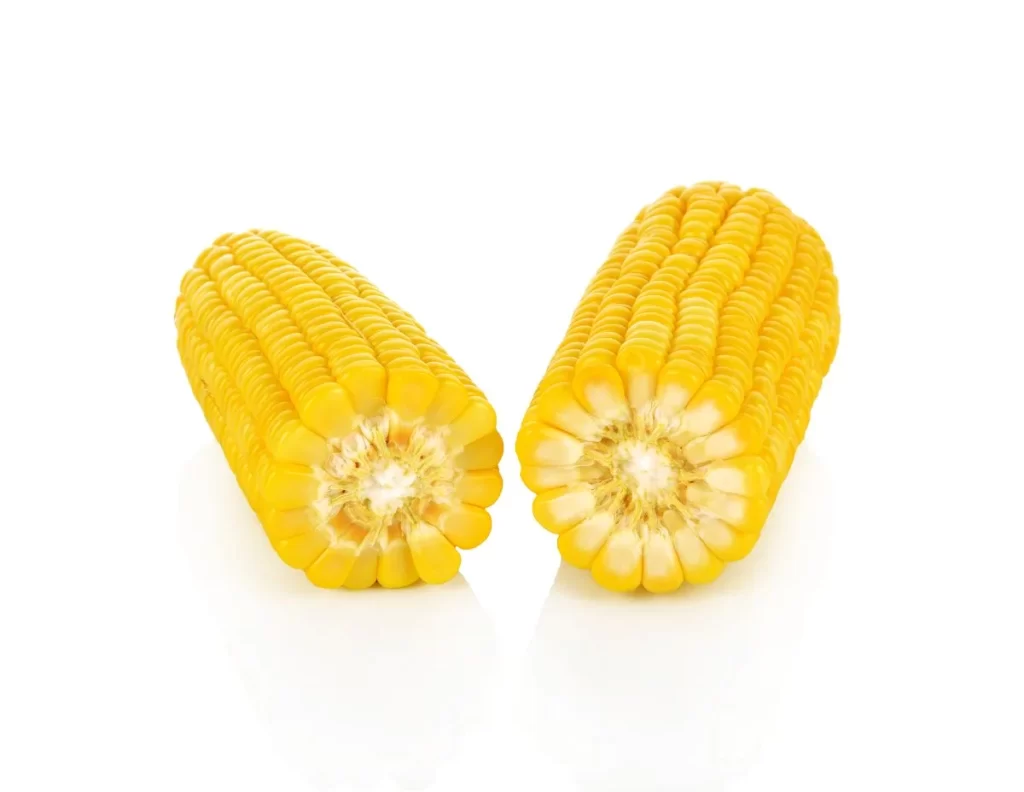 Corn Yellow Kernel Fresh