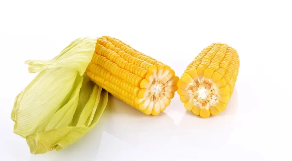 Corn Yellow Kernel Fresh