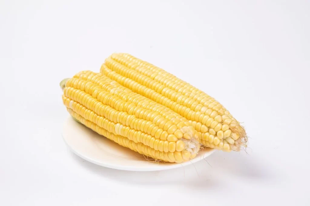 Corn Yellow Kernel Fresh