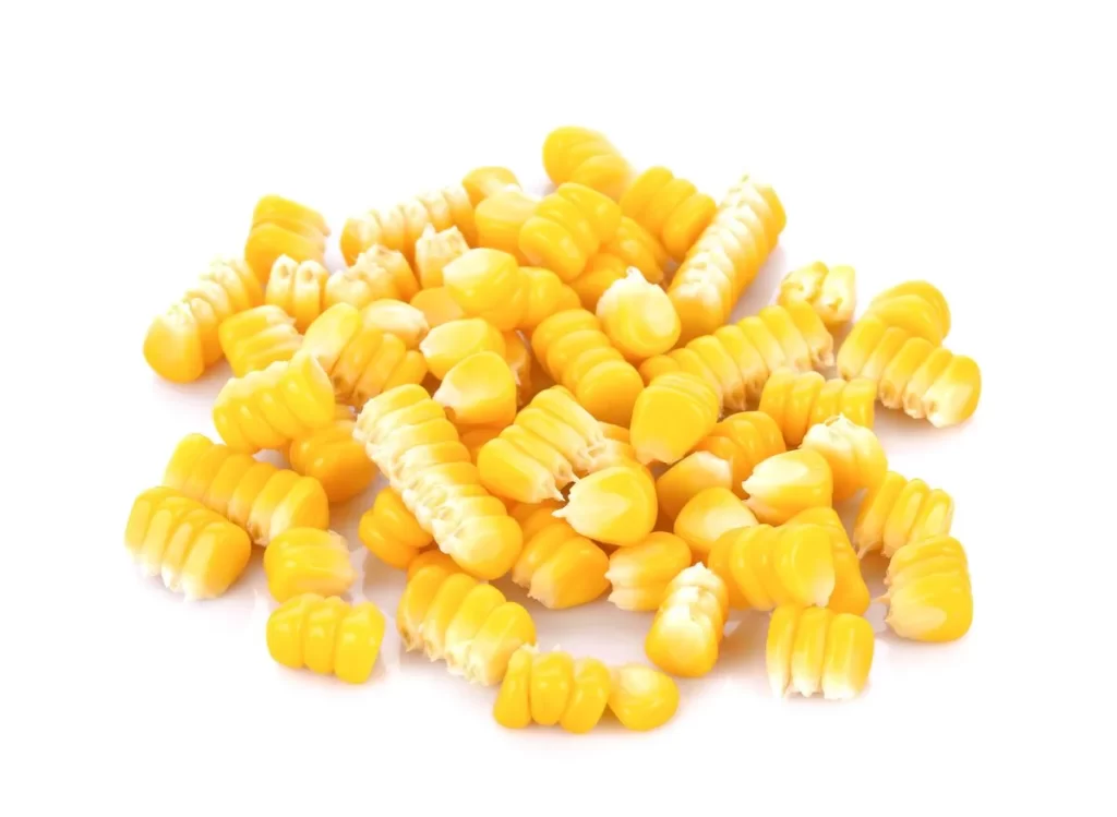 Corn Yellow Kernel Fresh