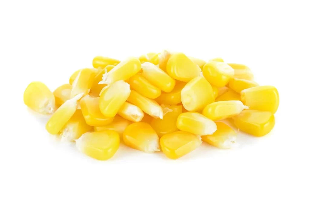 Corn Yellow Kernel Fresh