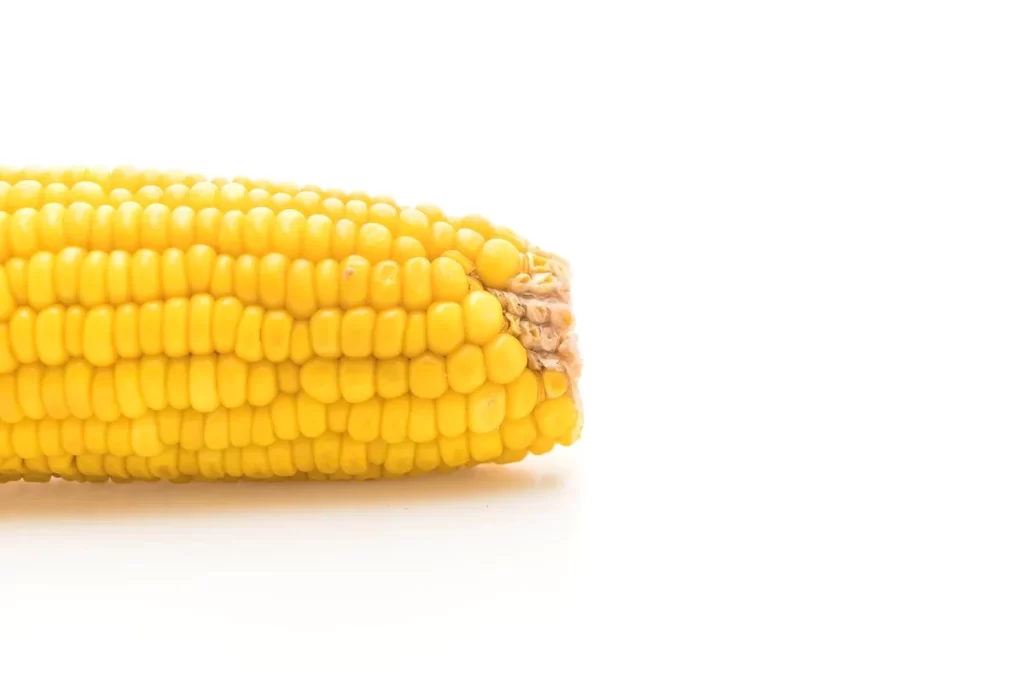 Corn Yellow Kernel Fresh
