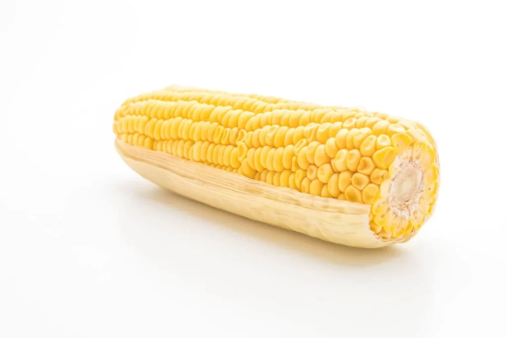 Corn Yellow Kernel Fresh