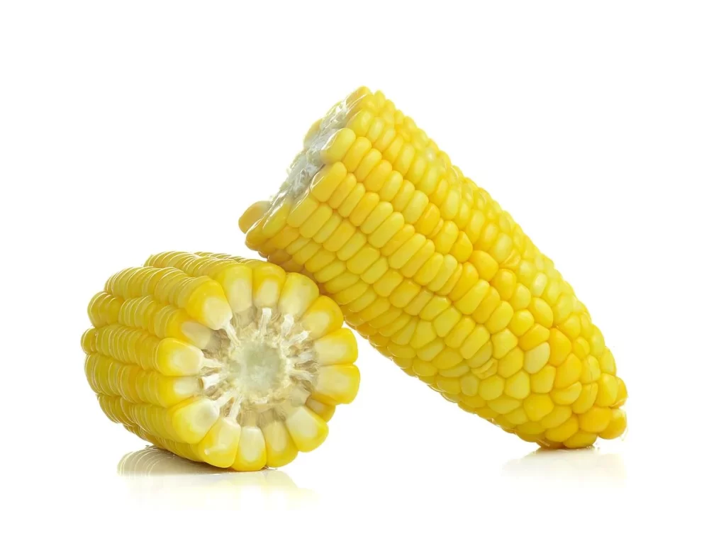 Corn Yellow Kernel Fresh