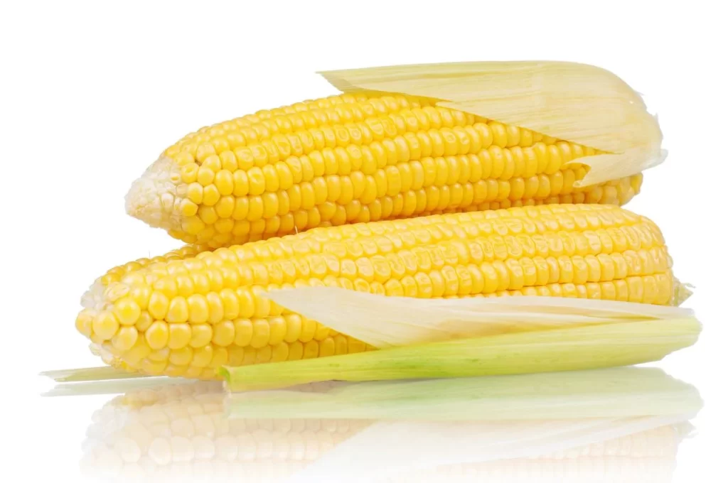 Corn Yellow Kernel Fresh