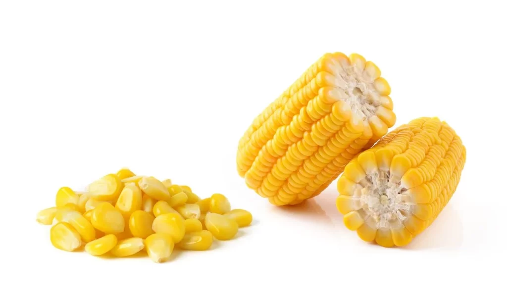 Corn Yellow Kernel Fresh