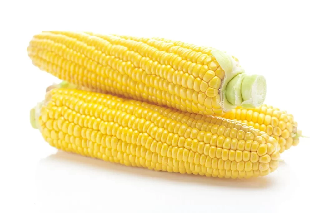 Corn Yellow Kernel Fresh