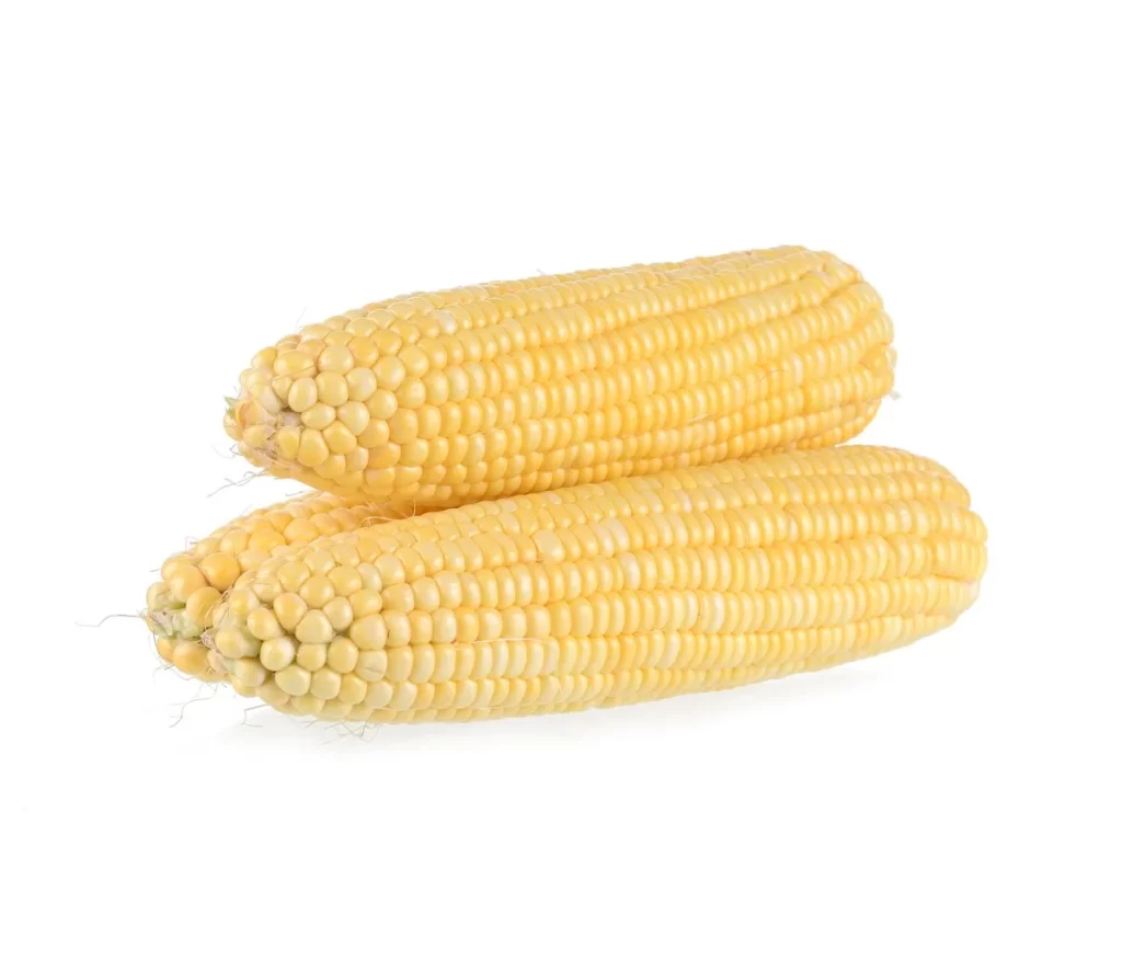 Corn Yellow Kernel Golden