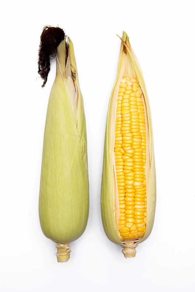 Corn Yellow Kernel Husk