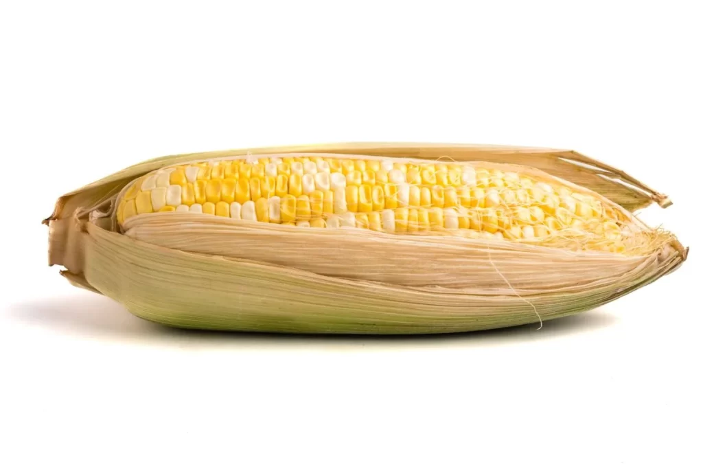 Corn Yellow Kernel Husk