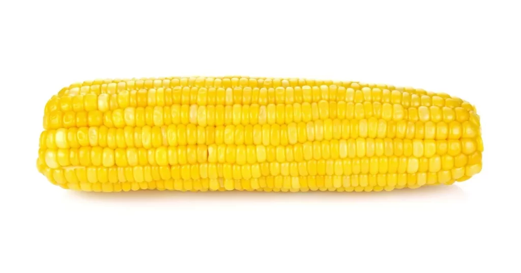 Corn Yellow Kernel Plump