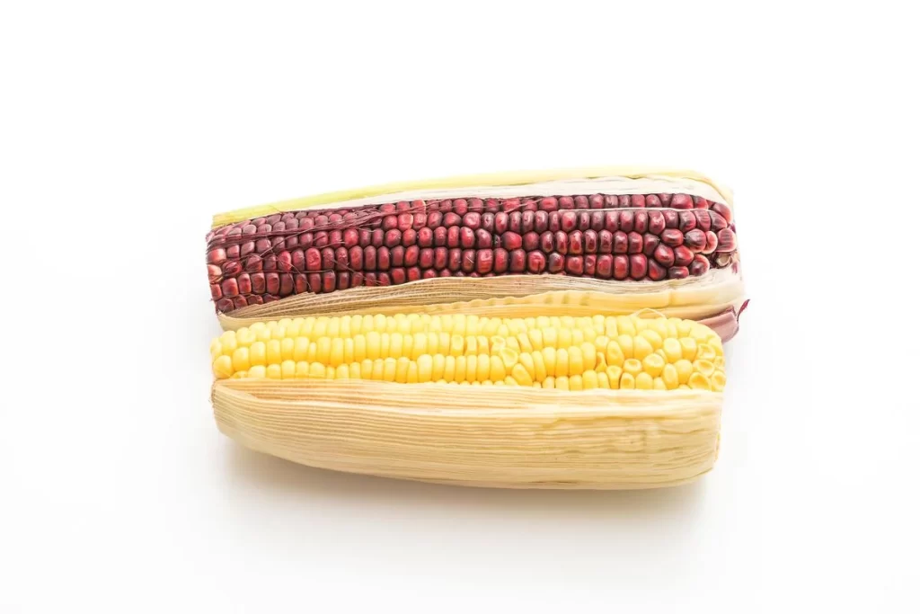 Corn Yellow Red Kernel