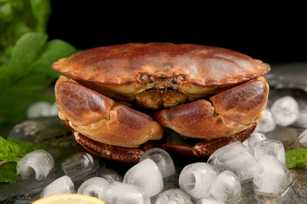 Crab Brown Shell Ice Cubes Green Leaves