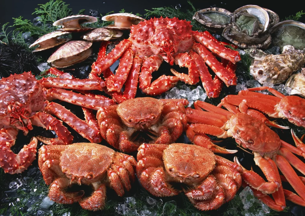 Crab Red Shell Fresh Seafood Ice