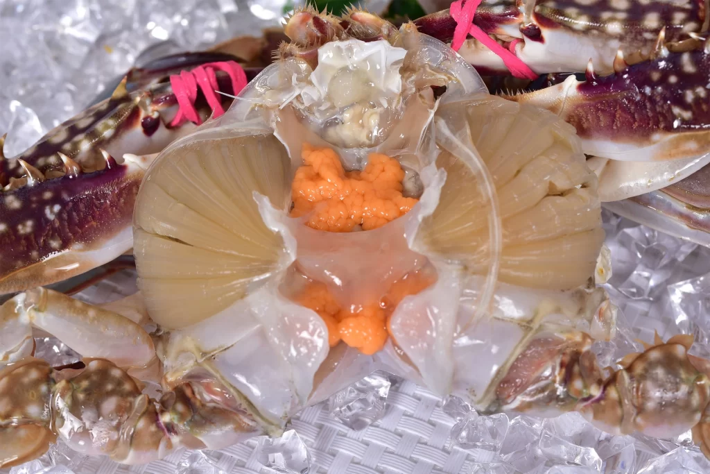 Crab Roe Orange Shell White Ice