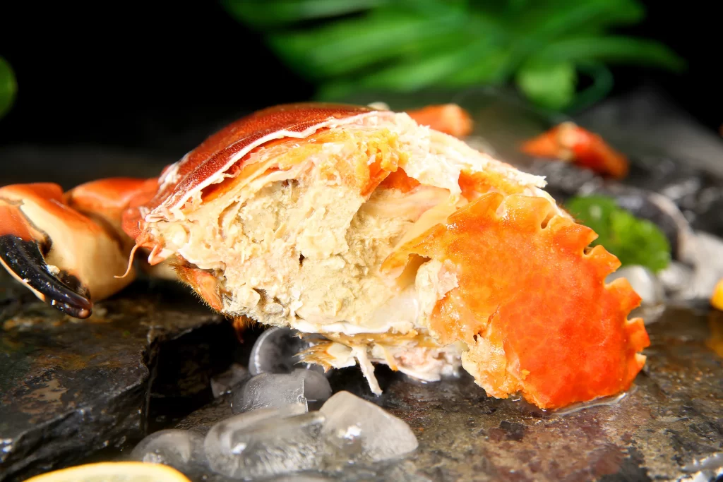 Crab Shell Red White Ice