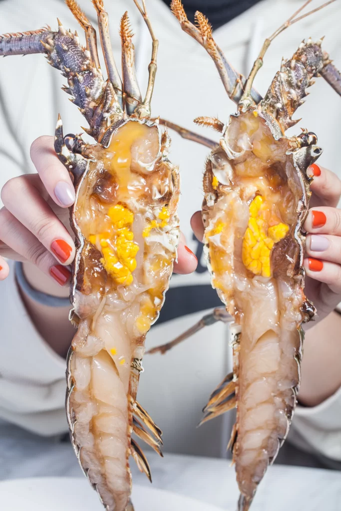 Crab Yellow Roe Brown Shell