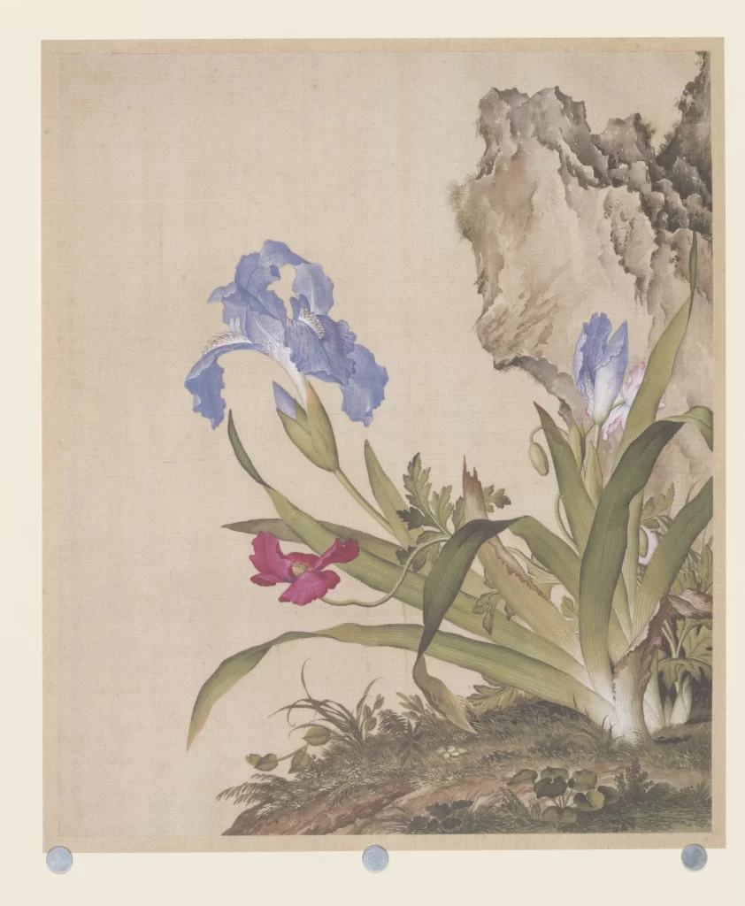 Crabapple Blossom Bird Castiglione