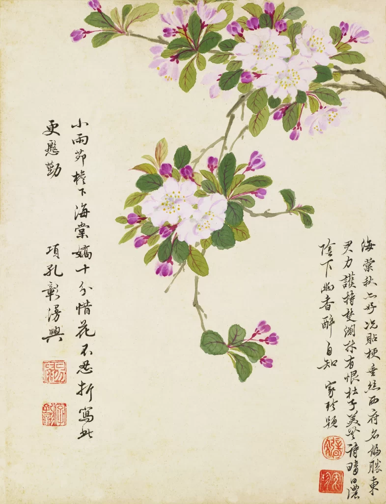 Crabapple Blossoms Pink White Spring Xiang Shengmo