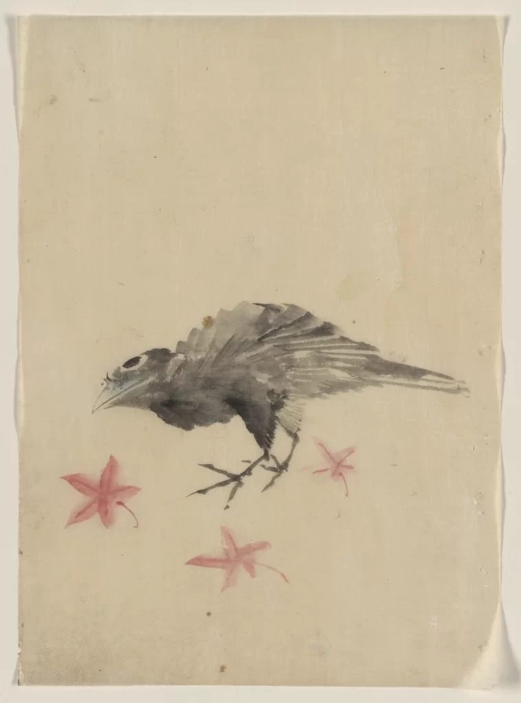 Crow Autumn Leaves Red Black White