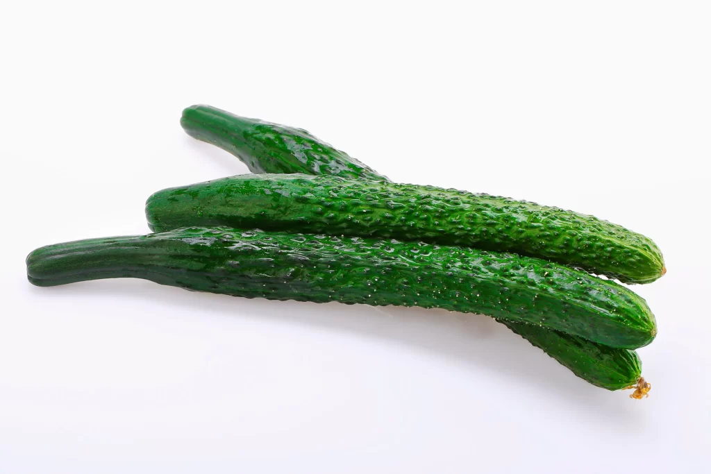Cucumber Green Bumpy Crisp Fresh