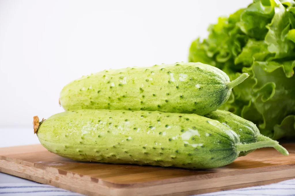 Cucumber Green Bumpy Fresh