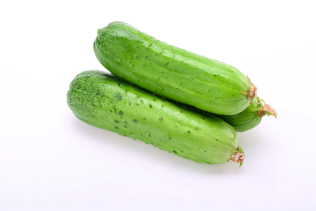 Cucumber Green Spotted Crisp Fresh