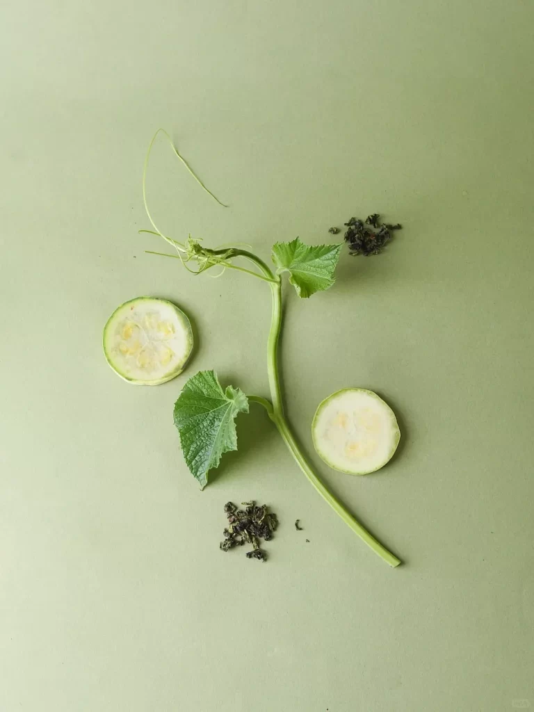 Cucumber Slices Green Leaves Plant Stem