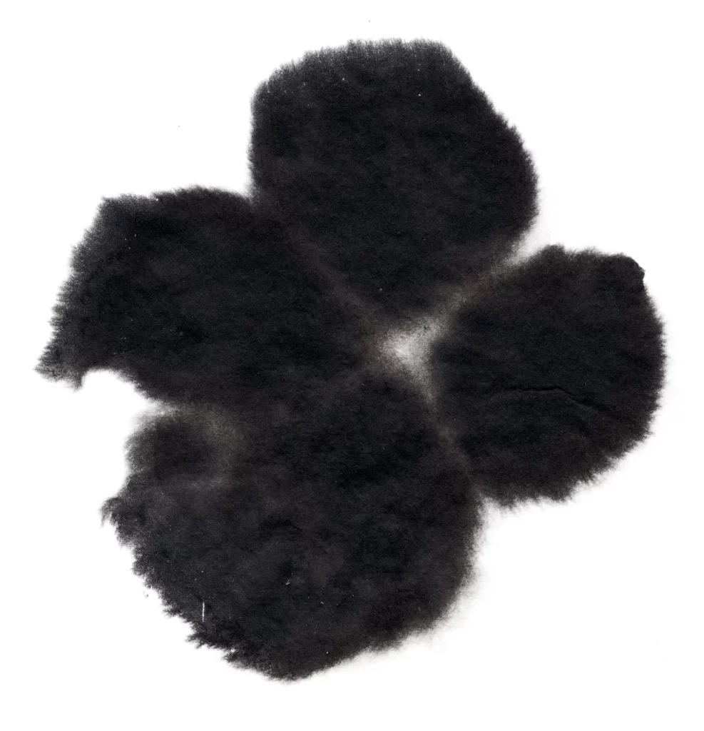 Dark Black Texture Organic Shape Soft
