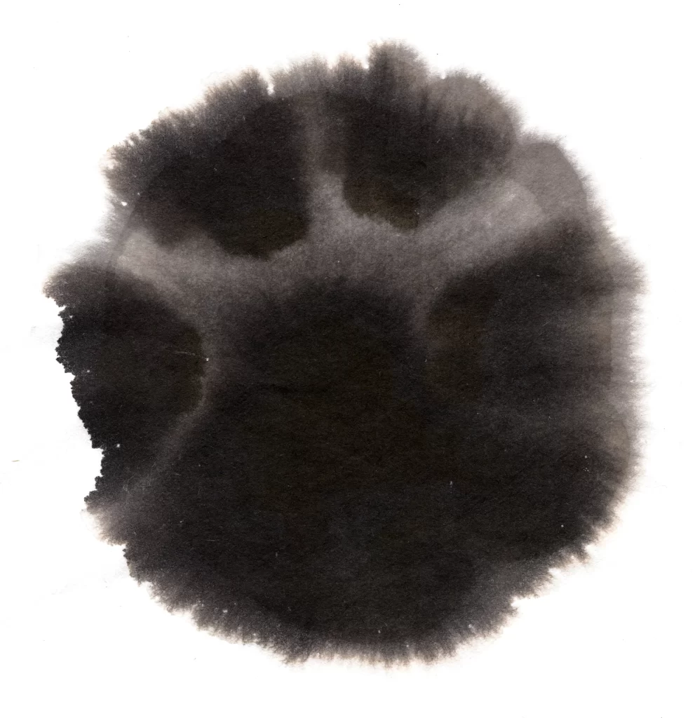 Dark Gradient Blended Circular Soft
