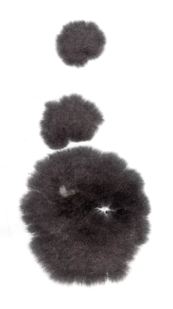 Dark Gray Gradient Blurred Circular Shapes