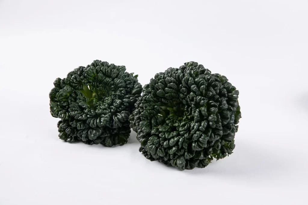 Dark Green Kale Curly Leafy Nutritious