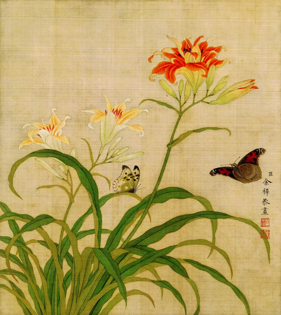 Daylily Butterfly Yu Zhi