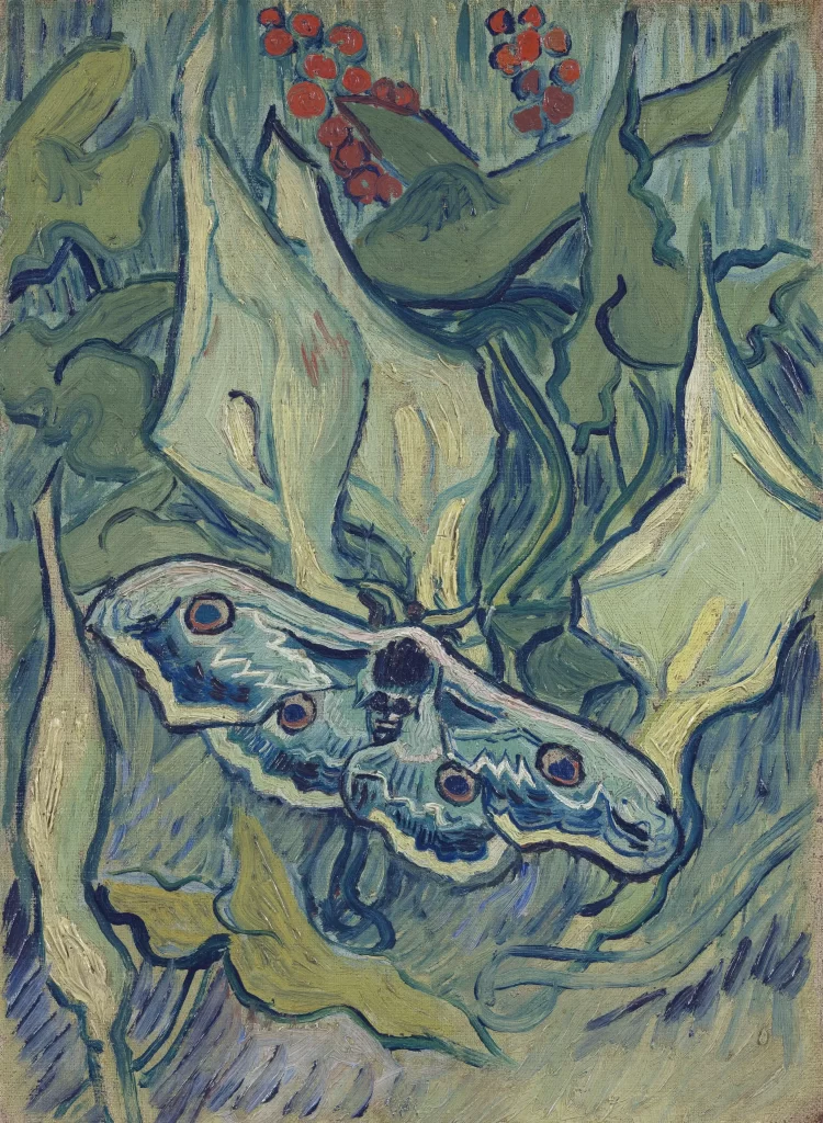 Deaths Head Moth Van Gogh