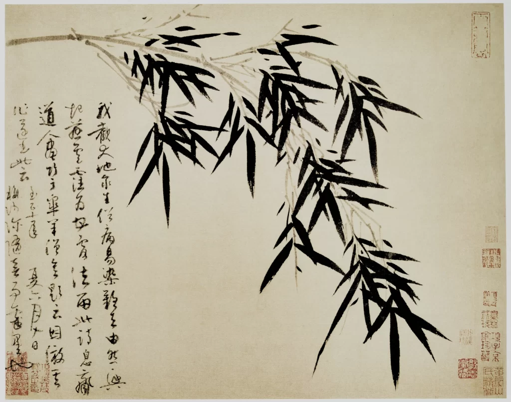 Dense Bamboo Forest Multiple Stalks Layered Wu Zhen